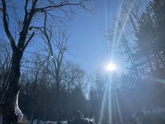 -洛阳白云山景区