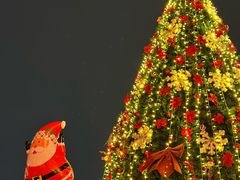 -珠江夜游西堤码头
