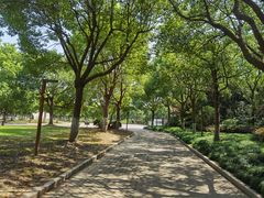 -上海海湾国家森林公园