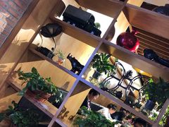 -伊兴面片·清真(五泉山店)
