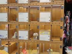 -汤姆宠物(长青北路店)