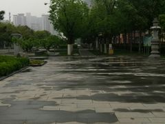-木塔寺遗址生态公园