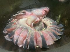 -鲜潭蒸汽石锅鱼(五道口购物中心店)
