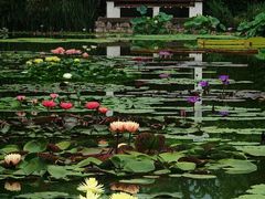 -国家植物园南园