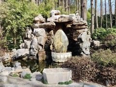 -上海醉白池公园