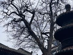 -湘子庙