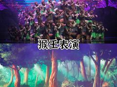 -青岛方特梦幻王国