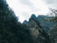 -黑河国家森林公园