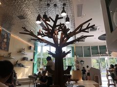 -飞行喵MR PILOT|猫舍·猫咖(静安大融城店)