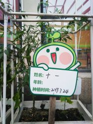 -梦田都市农场(银泰城店)