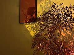 -淮海887·Spa·Massage(环贸店)