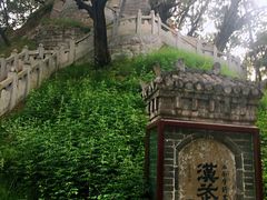 -黄帝陵