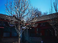 -北京古城老院厉晓麟精致菜