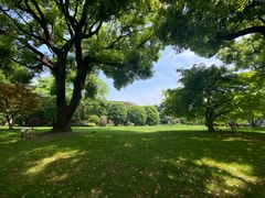 -上海兴国宾馆香樟园西餐厅