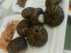 -西兰轩清真菜馆(北顺城街店)
