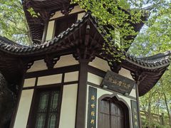 -上海佘山国家森林公园西佘山园