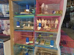 -青石桥花鸟鱼虫市场(叠翠城店)