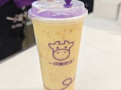 -一只酸奶牛(时代天街A馆店)