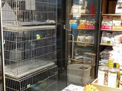 -小呆的宠物店·宠物售卖·宠物寄养(城西店)