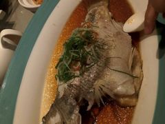-广东道至正餐厅(区庄店)