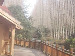 -上海怡沁园度假酒店