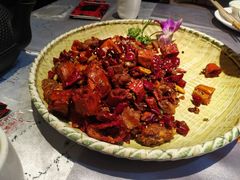 -红辣椒·川菜·火锅(张杨路店)