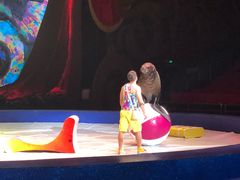 -珠海横琴长隆《卡卡虎奇遇记》