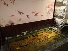 -樱蘭·影院足道·养生SPA(三里屯店)