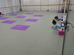 -艾莎舞蹈(中南大厦校区)