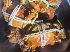 -阳澄湖半岛旅游度假区