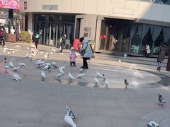 -中粮·祥云小镇