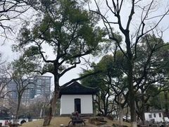 -墅园