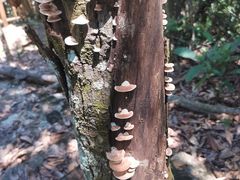 -黄金沟旅游风景区