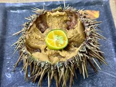 -海胆小馆(东北水饺·春柳店)