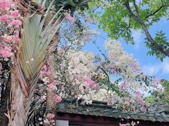 -深圳国际园林花卉博览园