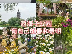 -西海子公园
