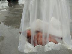 -石岐乳鸽村(南海第三分店)