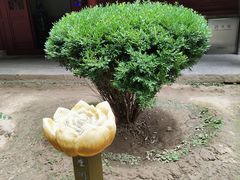 -罔极寺