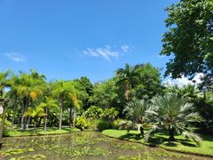 -中国科学院西双版纳热带植物园