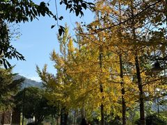 -樱桃山旅游景区