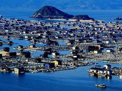 -大京沙滩