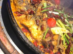 -老板恋上鱼(恒隆广场店)