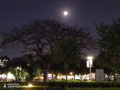 -金砂公园