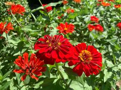 -永定河休闲森林公园