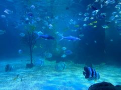 -常州海昌海洋探索馆