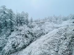 -瓦屋山景区
