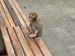 -千岛湖东南湖区