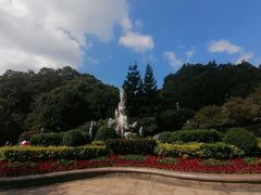 -金鸡山公园
