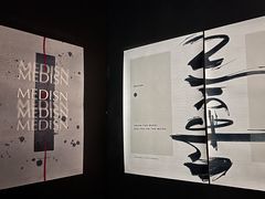 -MEDISN·药厂