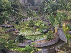 -南宁荔园维景国际酒店·荔园中餐厅